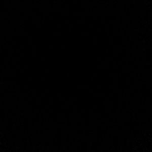 Meet your Posher, Latroya